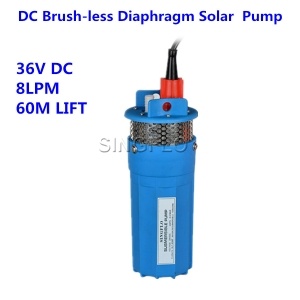 Diaphragm  water pump
