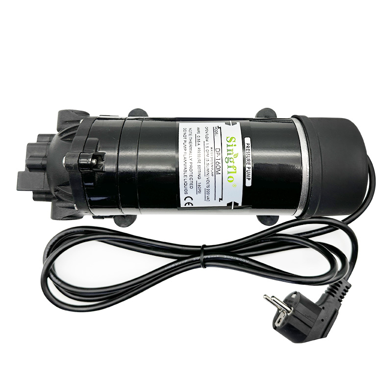 DP-160M car wash agricultural sprayer diaphragm pump